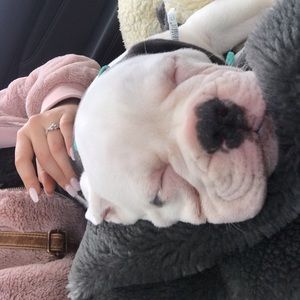 Meet your Posher, Alexzandria